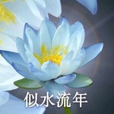 康顺爱逛体育