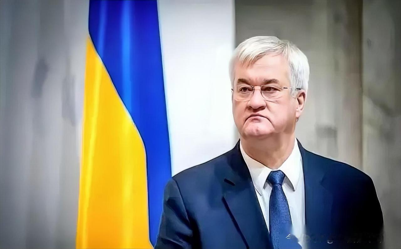 当年乌克兰在美施压下，直接撕毁中企收购马达西奇的合同，把咱们56%的股份没收国有