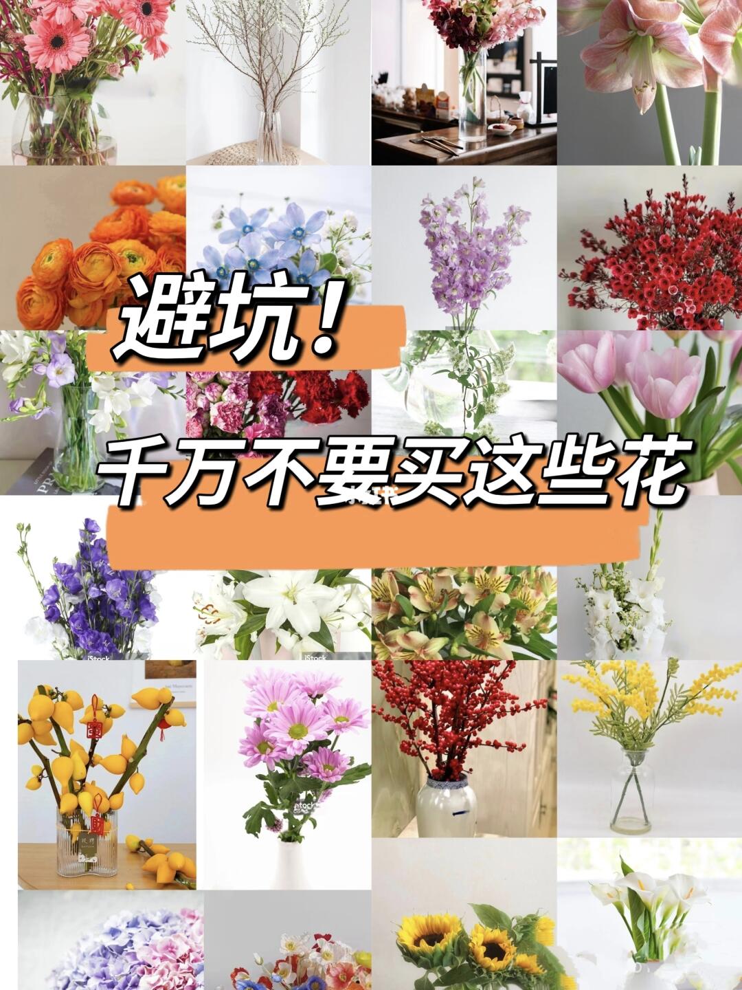 超长待机❗谁懂啊，根本没法买新花啊😭