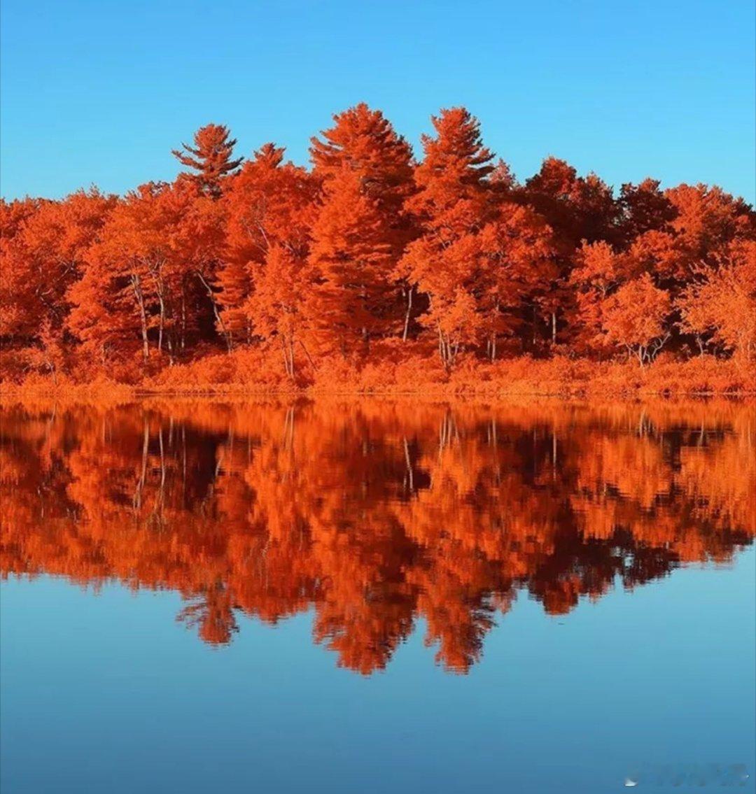 时光悠然，华年似水，冬去春来，岁岁年年，光阴的褶皱深深镂刻进生命的脉络，一汪清澈