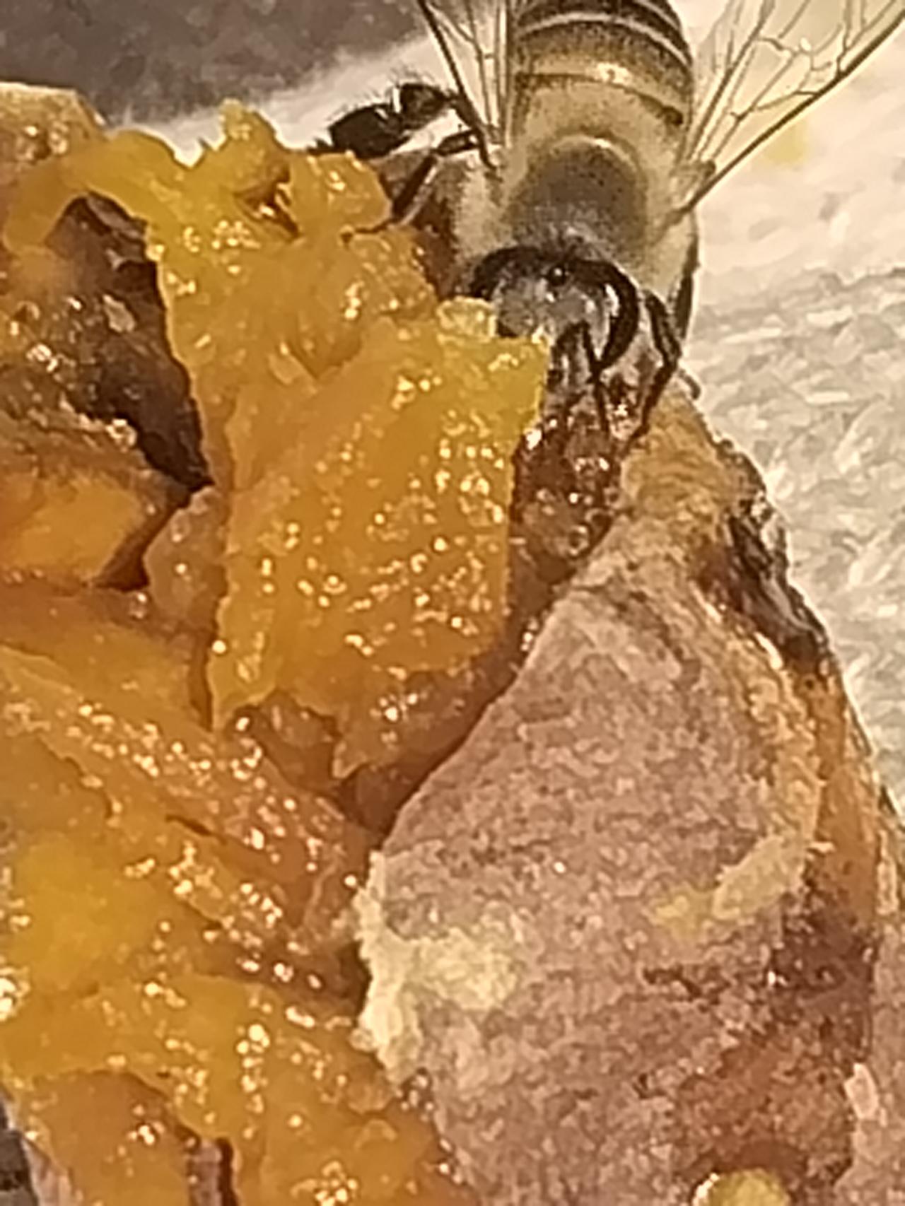 不是专业个人看法 看病就是药和理 药细分含量 是西方精确 理人体结构与锻炼比我们