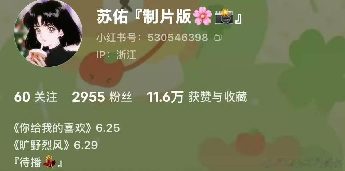 《旷野烈风》定档6.29我们段泊安要来啦 