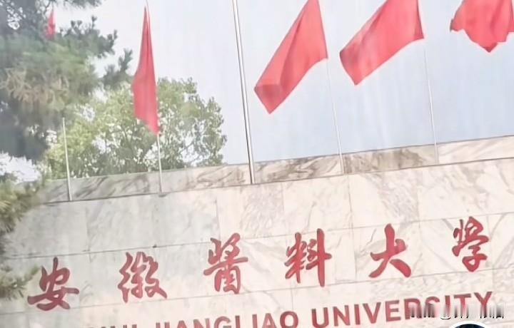 我高考360分，我的第一志愿是安徽酱料大学，不知能否录取！如果能录取，我将宴请全