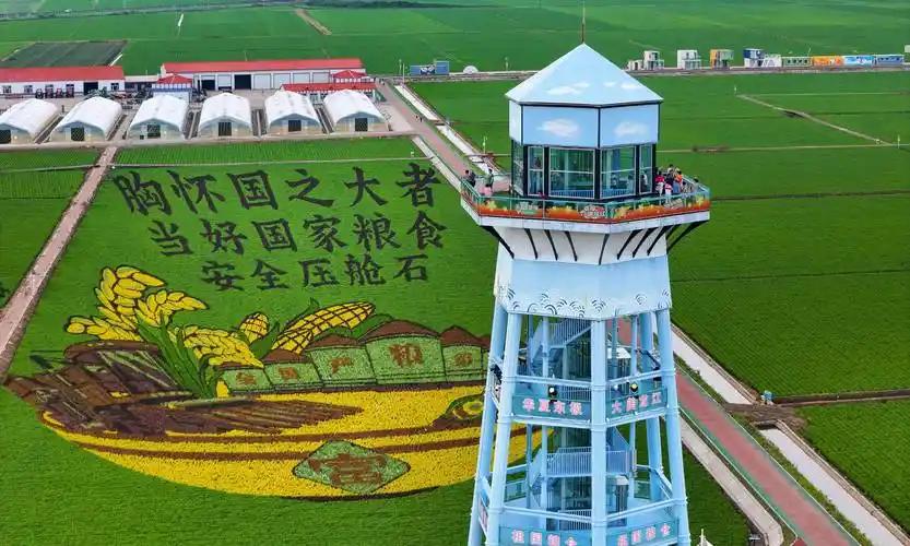 数百亿斤粮食说不要就不要了？数万名官兵和农民辛苦开垦半个世纪，能养活一亿人的中国