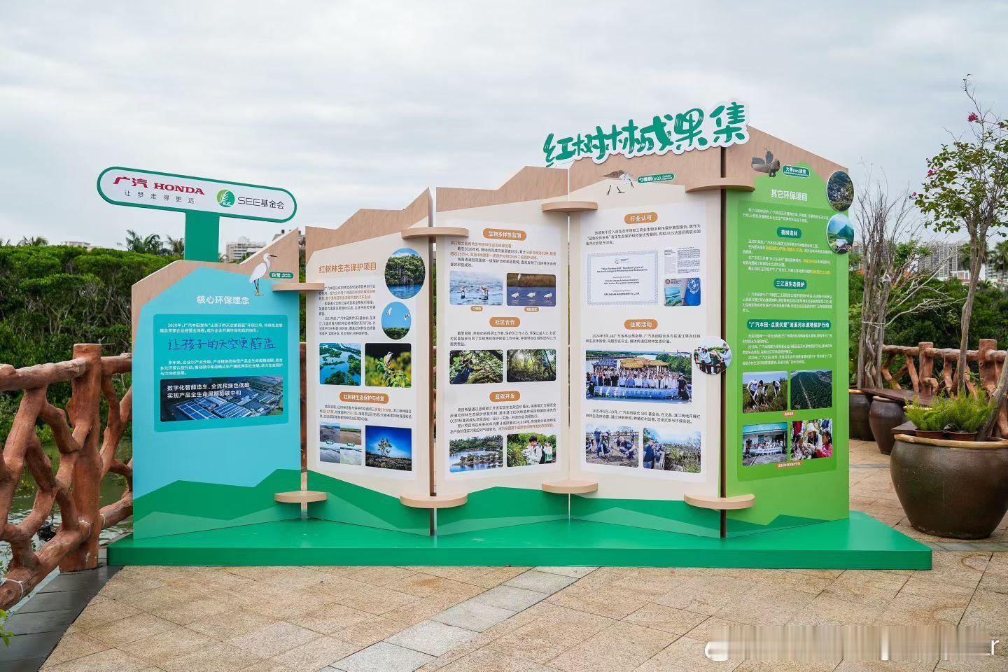 去年海南文昌红树林，今年来湛江的红树林。从滨海湿地的“蓝碳”，到陆地森林的“绿碳