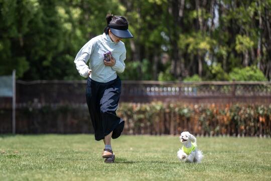 幸福的具像化