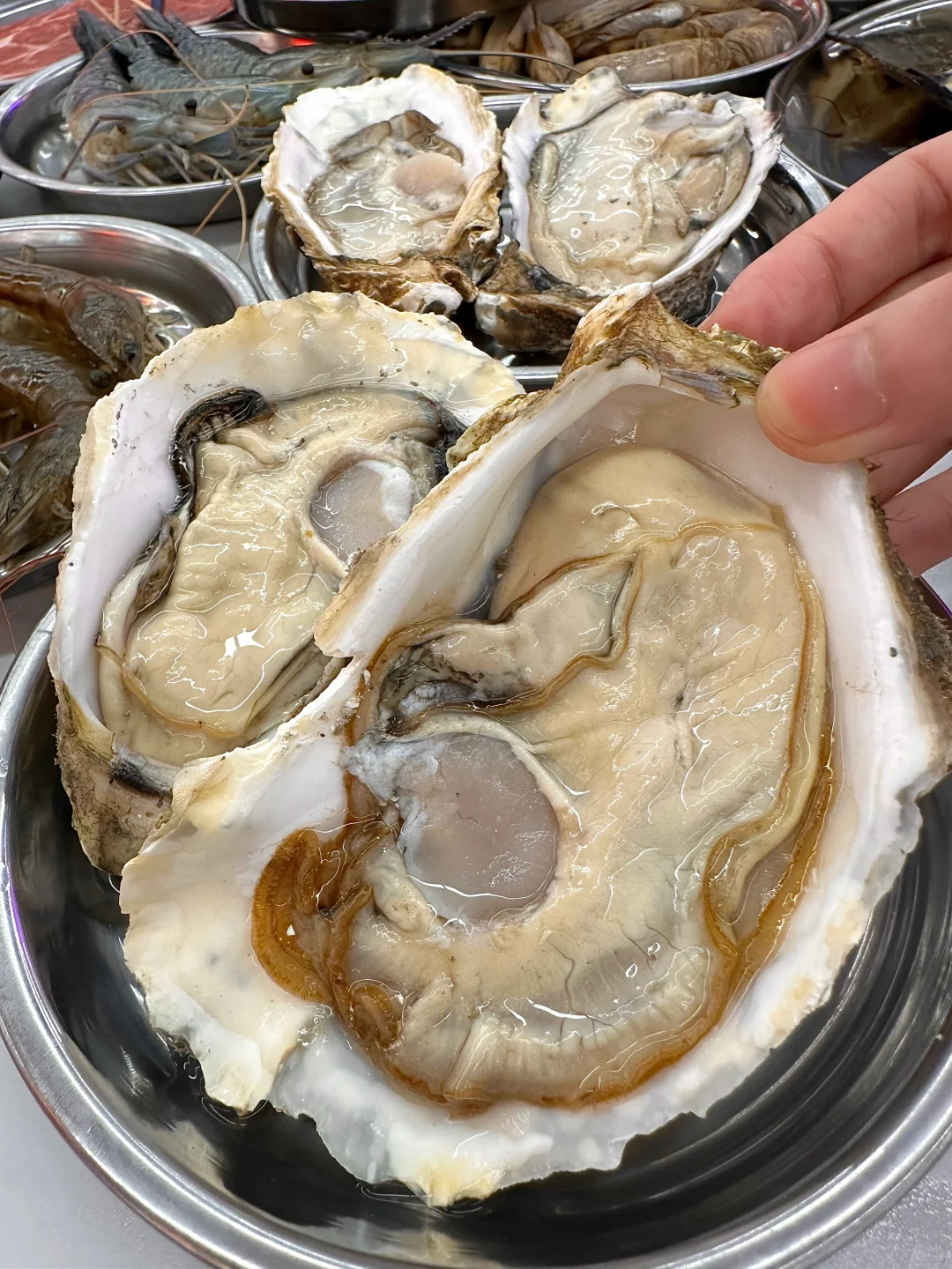 佛山新开的！！快去吃。。。。。