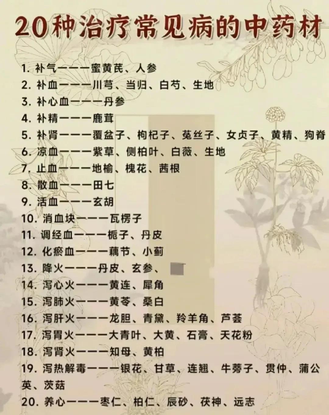 你是否想过用中药材来治疗常见病症？今天，我为大家带来了20种治疗常见病的中药材，