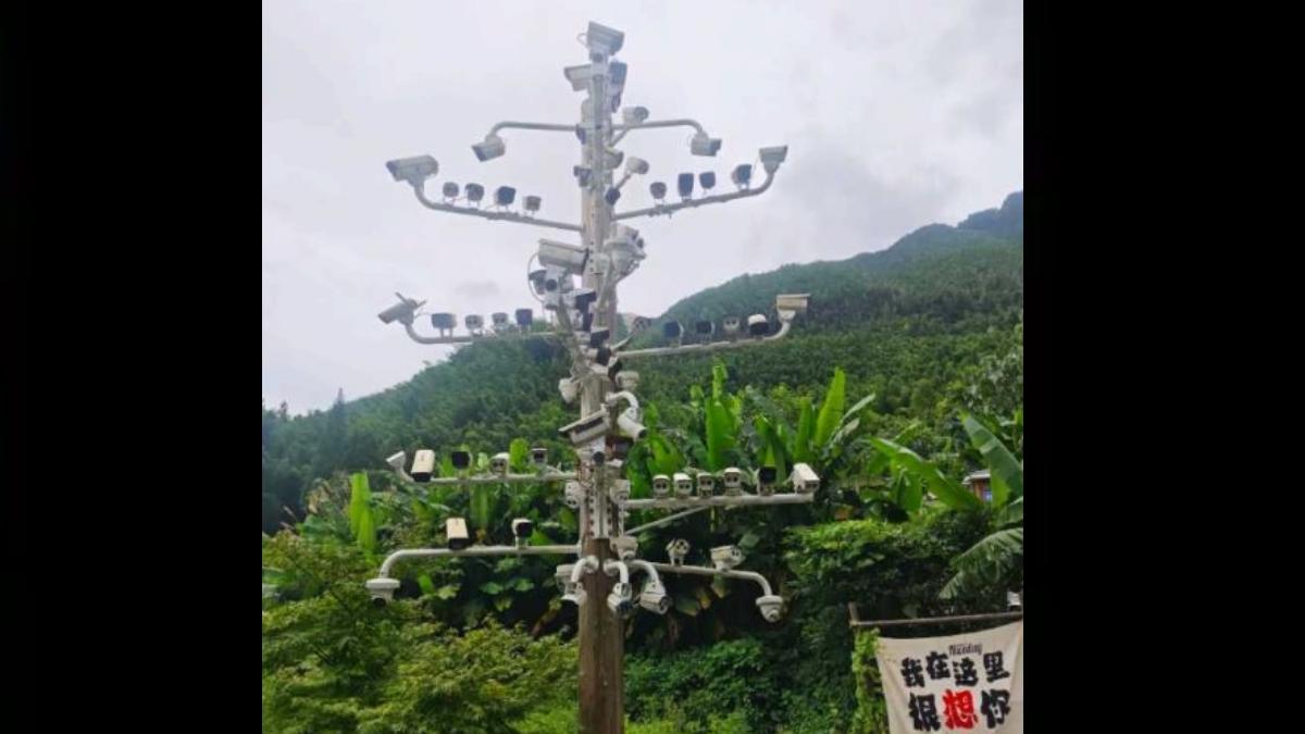 秋日生活打卡季