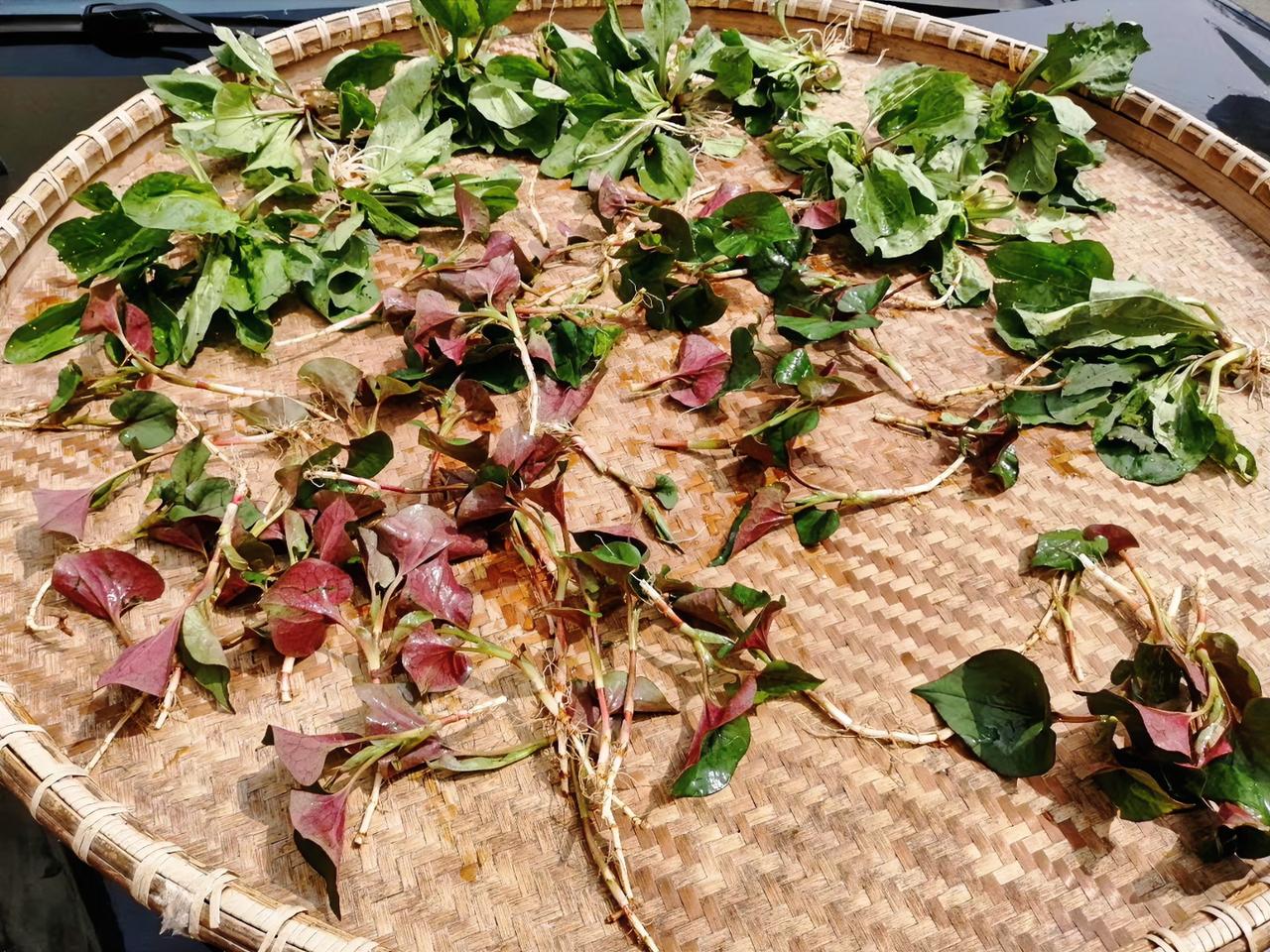 有位老中医说得实在：世上最好的九味“药”，其实全都不花钱。

喝水能去火，运动保