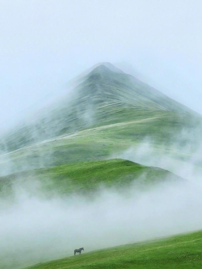 “见天地，见山海，见自由。” ​ ​​​