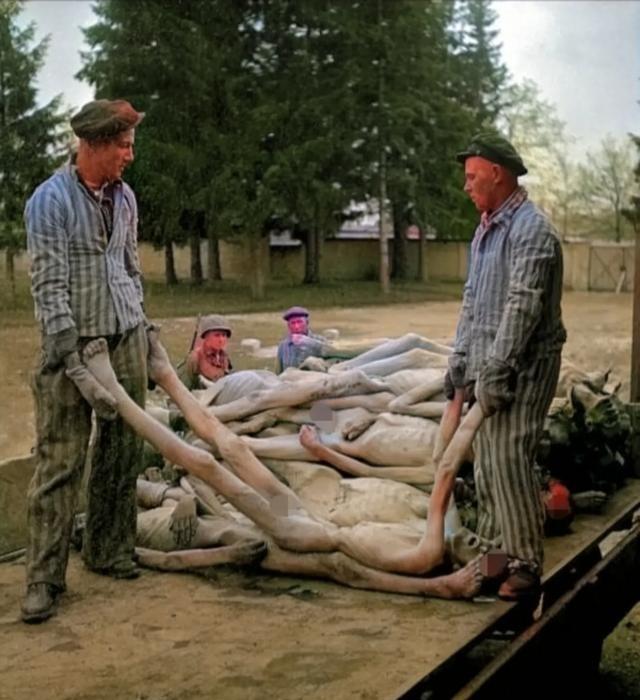 1945年4月，美军抵达达豪后，需要处理成千上万具遇难者遗体。刚开始时，美军要求