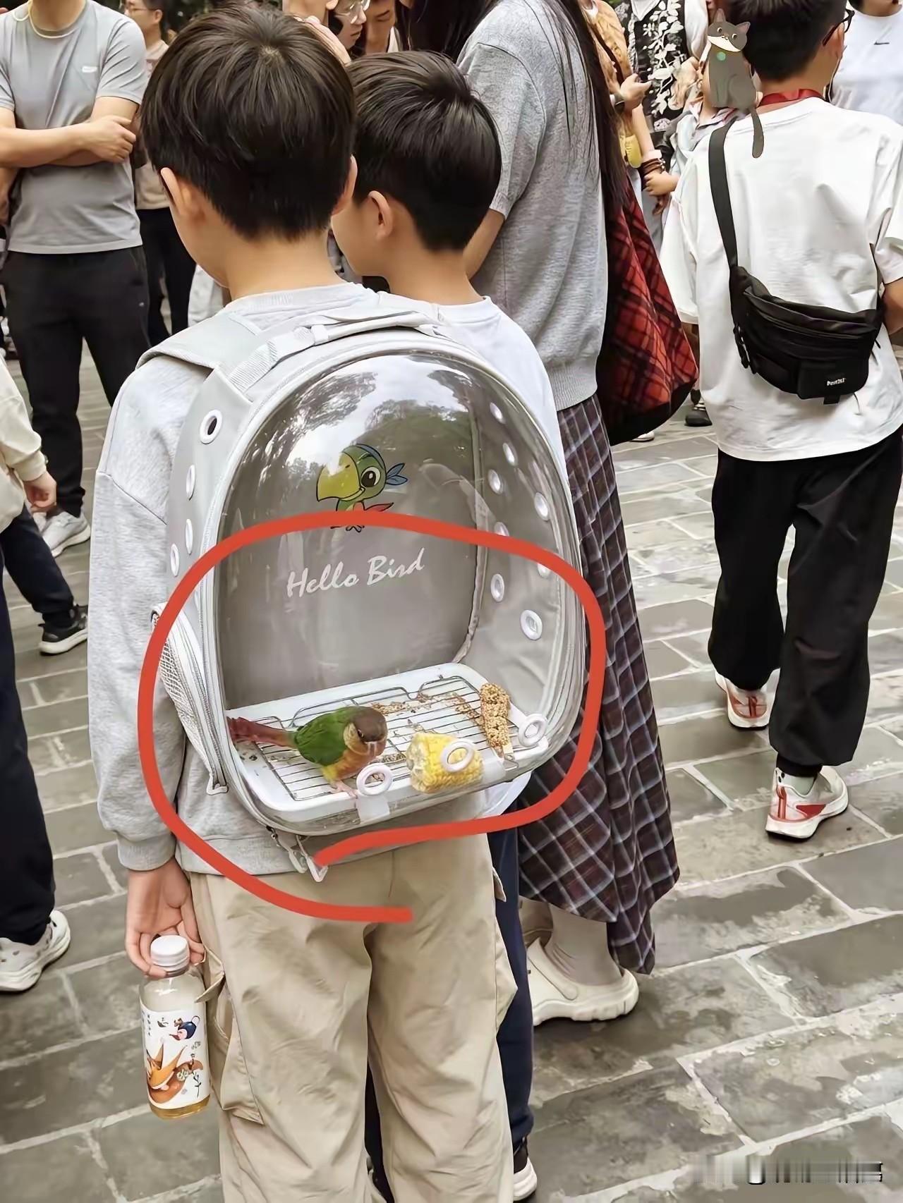 很好！要防止野猫盯上食物