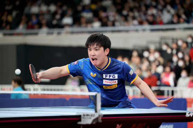 张本智和张本智和2026全日本乒乓球锦标赛 20260119JTTA官网提及全日