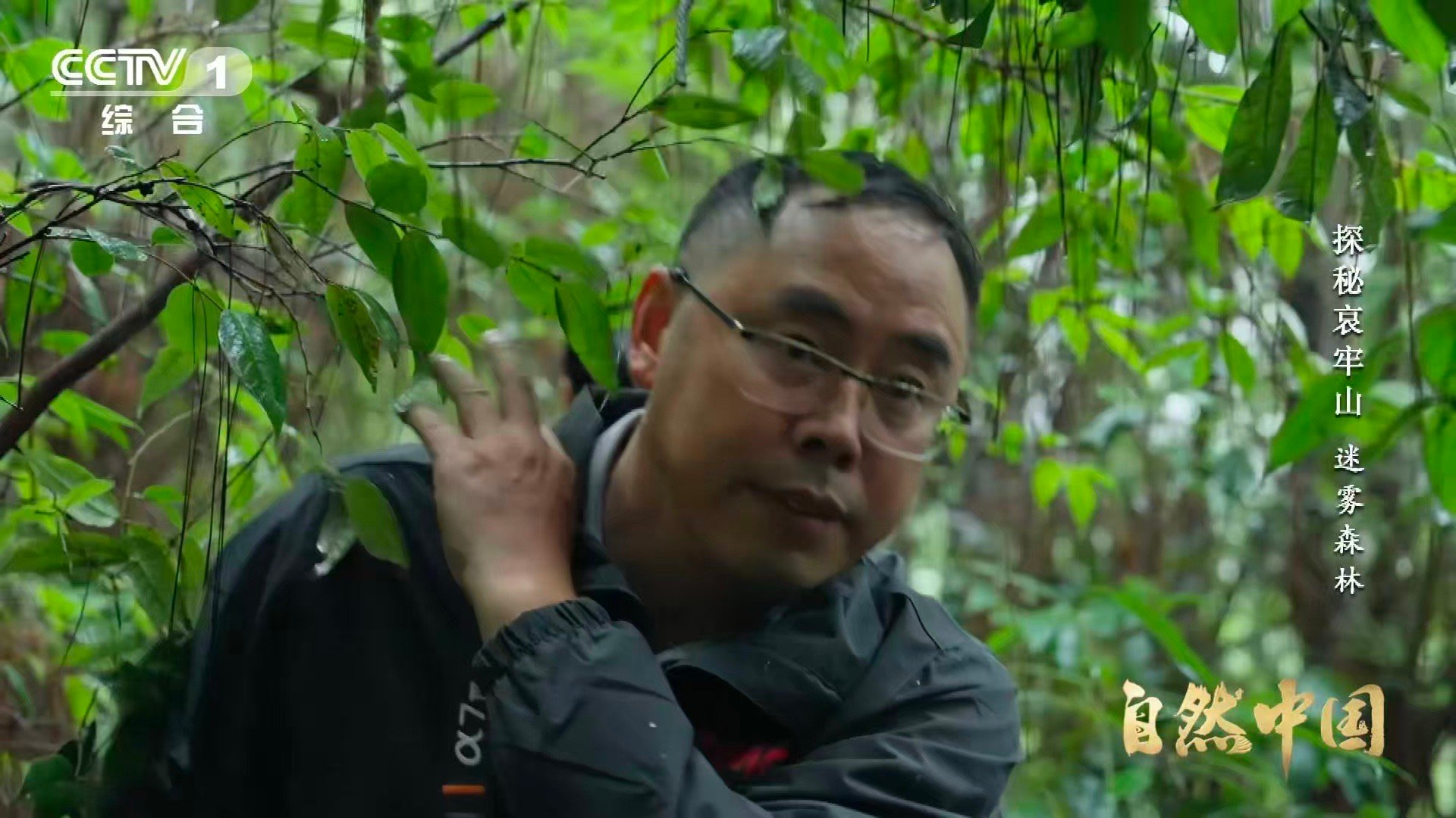 哀牢山神秘植物不靠光合作用存活哀牢山这种花每年仅露面40多天 植物王国的“另类天