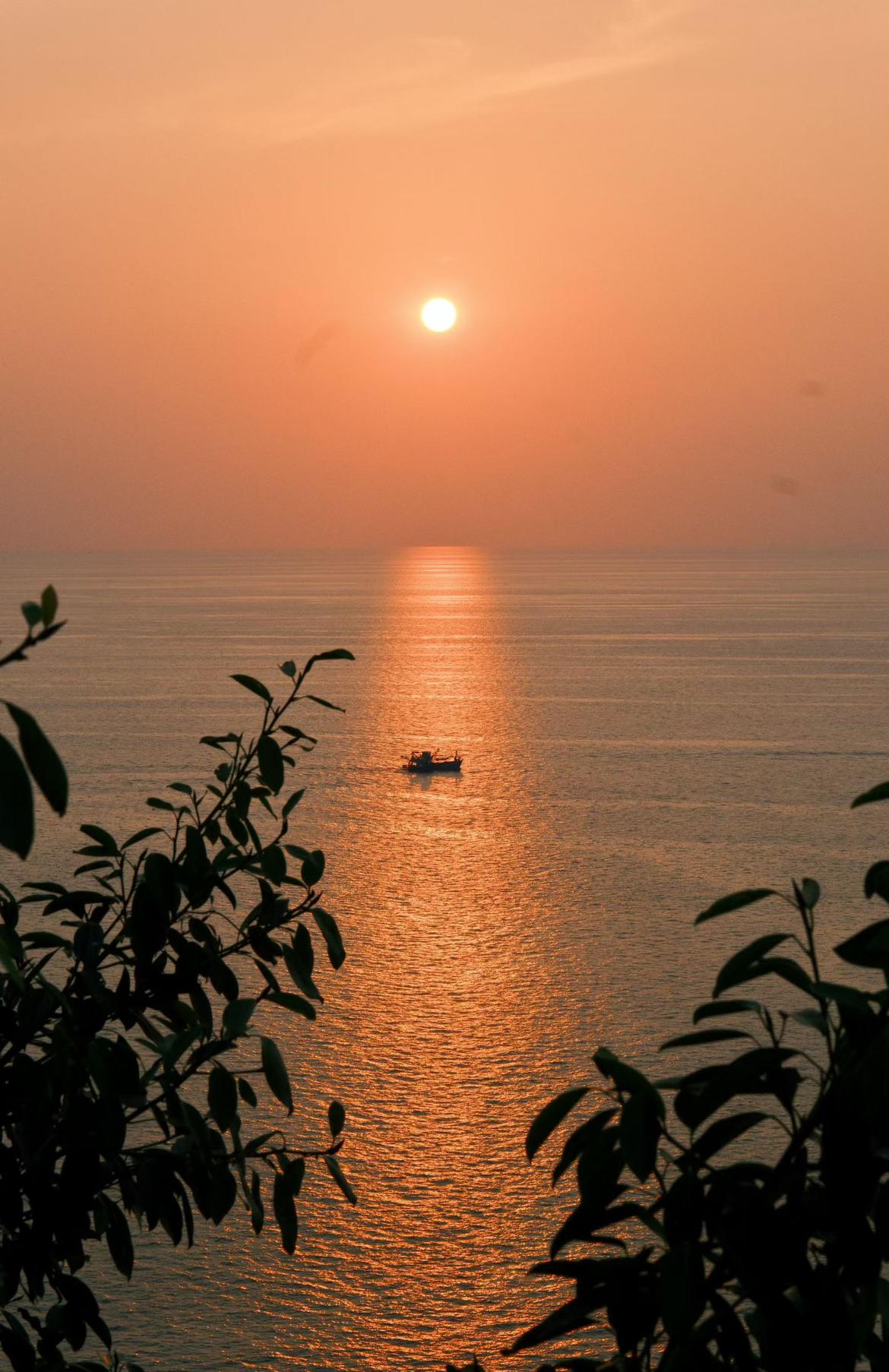 我的今日状态：😁轻松愉快
我这里的天气：☀️晴天