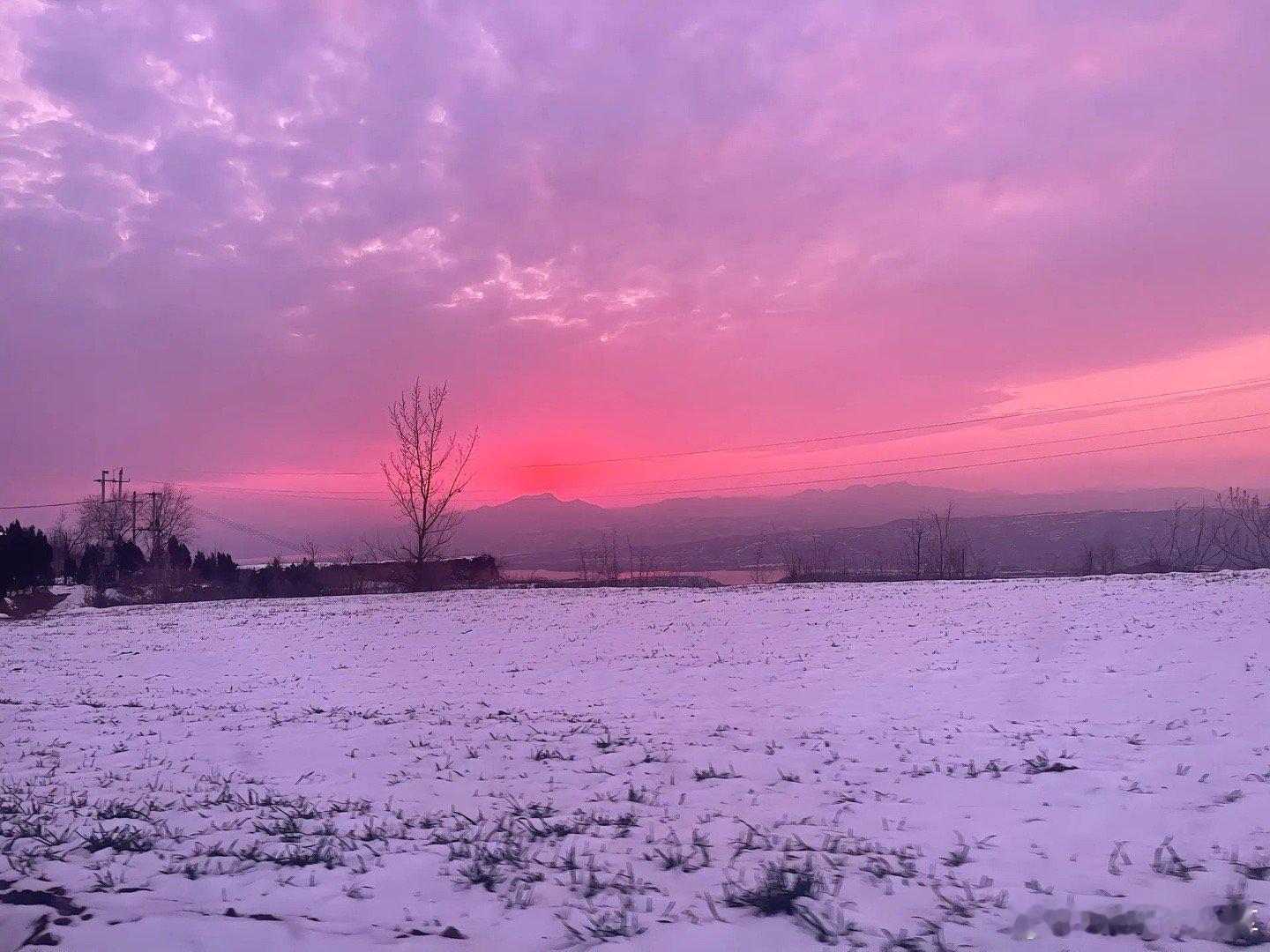 温热水盆放护发素，泡半小时，在弄几分钟就全解开了，这些托尼肯定也是想出境