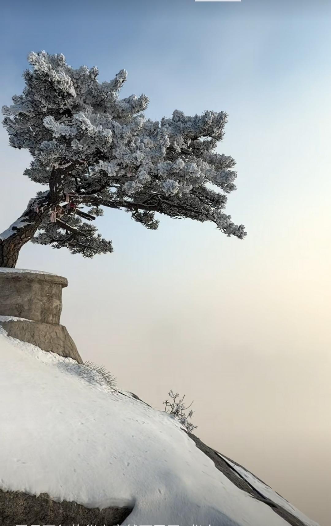 记录生活，记录此刻昨天（4月21号）的华山，山下下雨，山上下雪。雪景华山