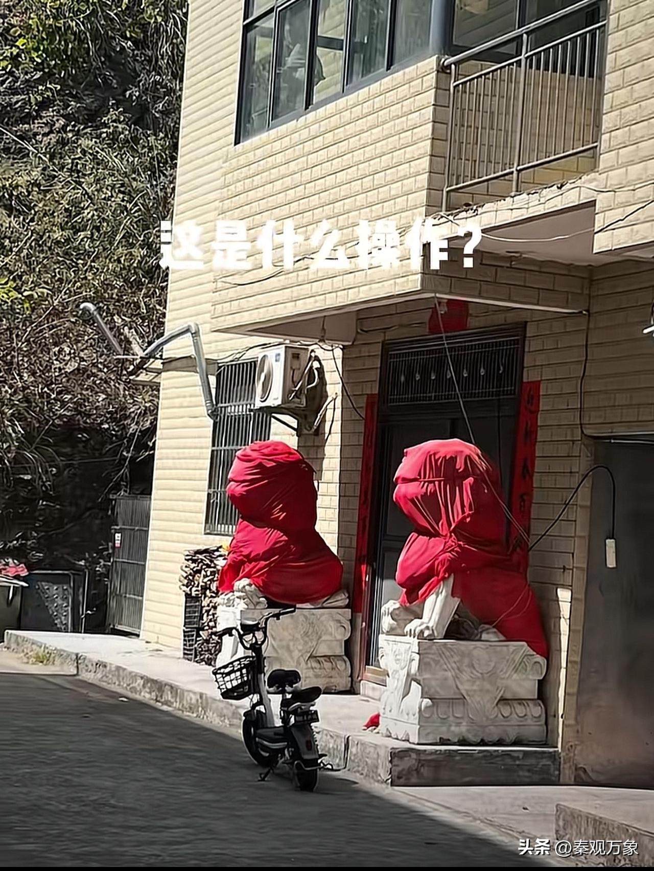 普通人家很少摆狮子
这是什么操作