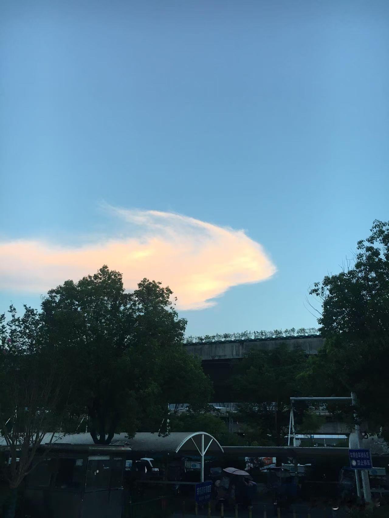 蔚蓝天空有只奔跑小兔，奔赴漫天温柔....