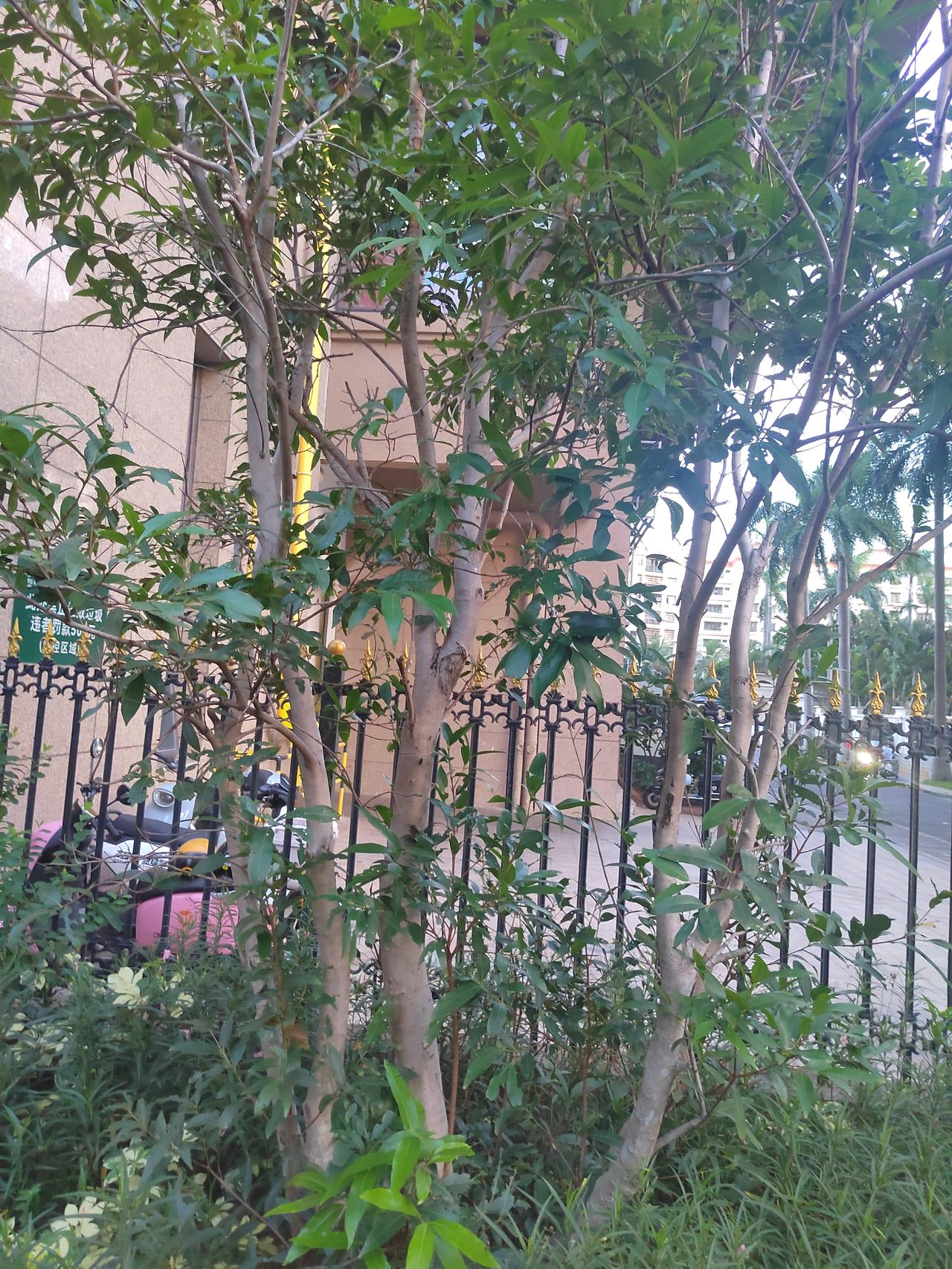 善待自己，最重要的生活是什么？
  
        前几年总把“懂事靠谱”挂在