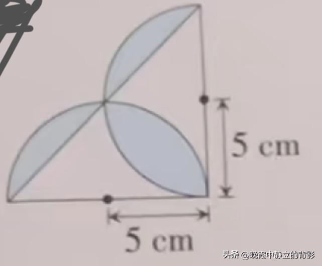 经典树叶型组合图形，三块阴影总面积到底是多少？容斥原理在半圆+三角形题型里怎么套