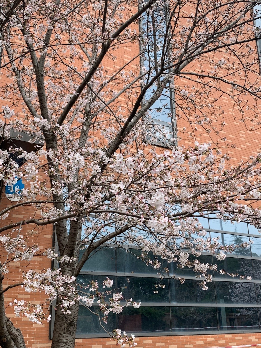 [汪洋海蓝比心] ​​​