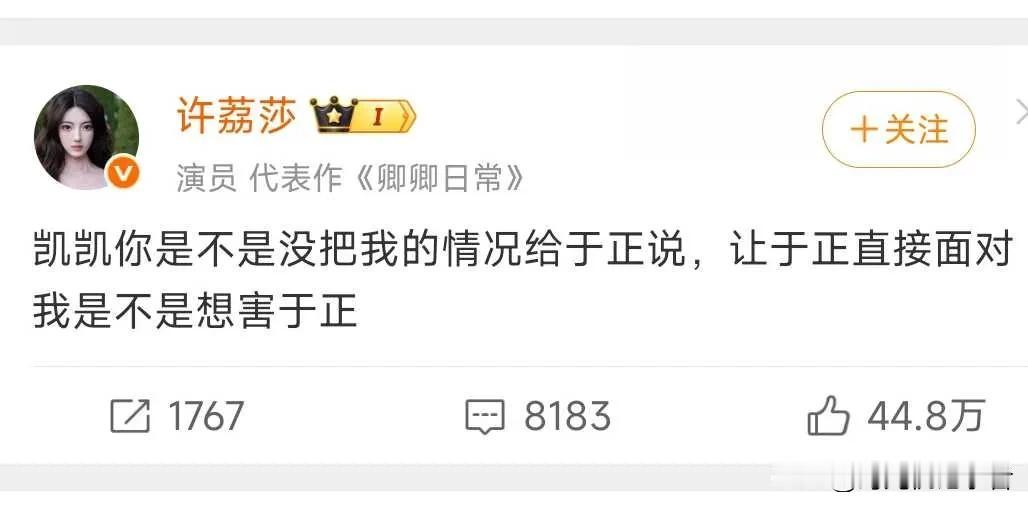 许凯团队已经启动法律保护程序，不是针对许荔莎而是针对一些添油加醋的传闻，许凯和许