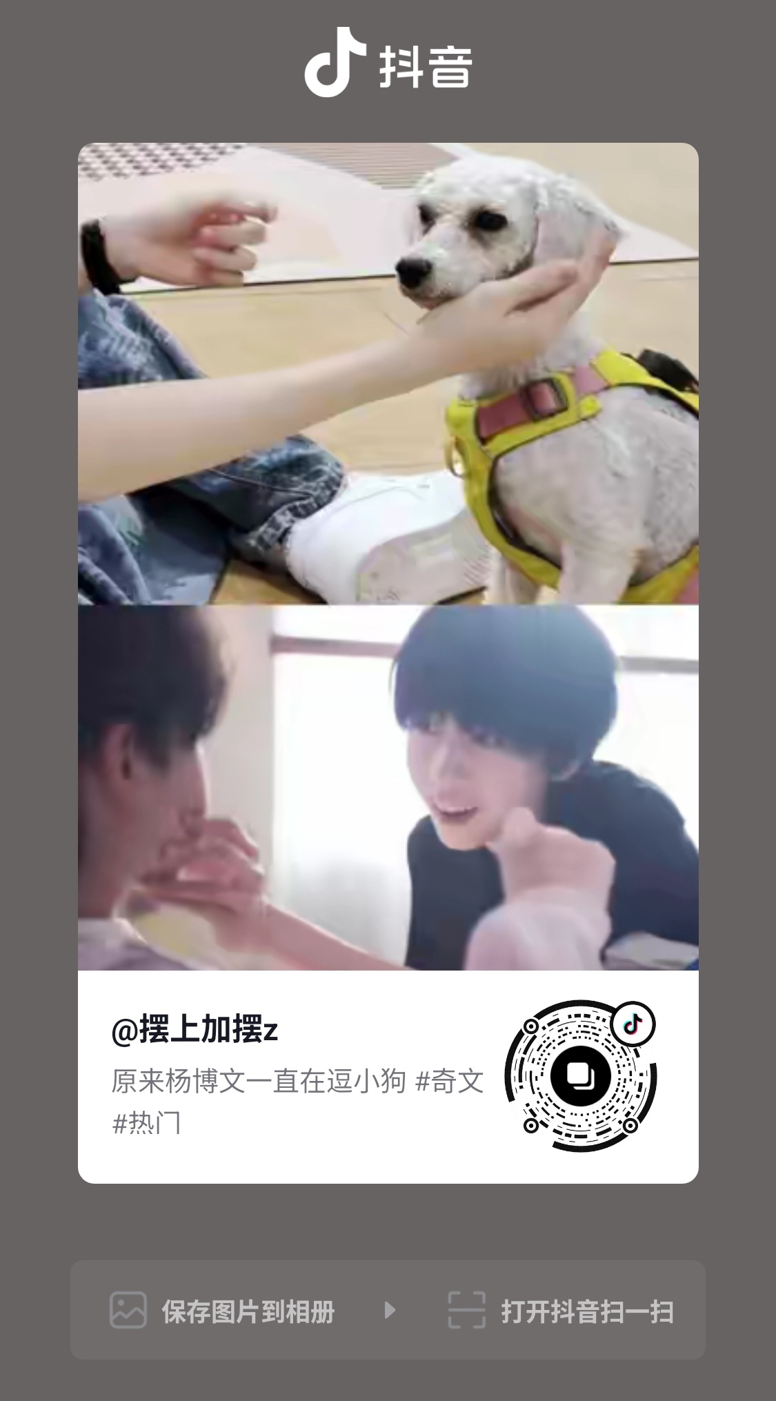 分享图片 