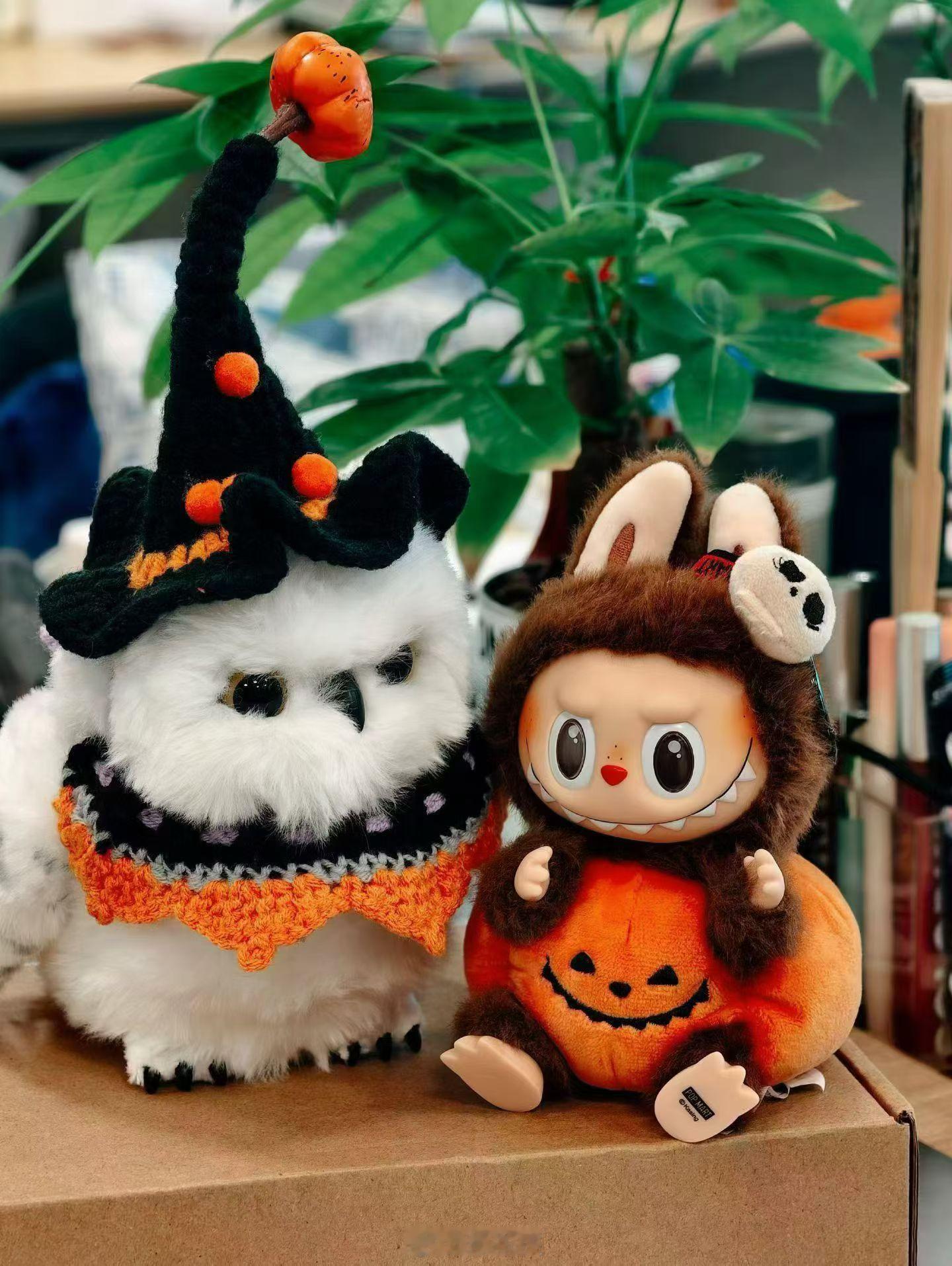 才发现今天是万圣夜晚上有没有出去“鬼混”的？[嘻嘻] ​​​