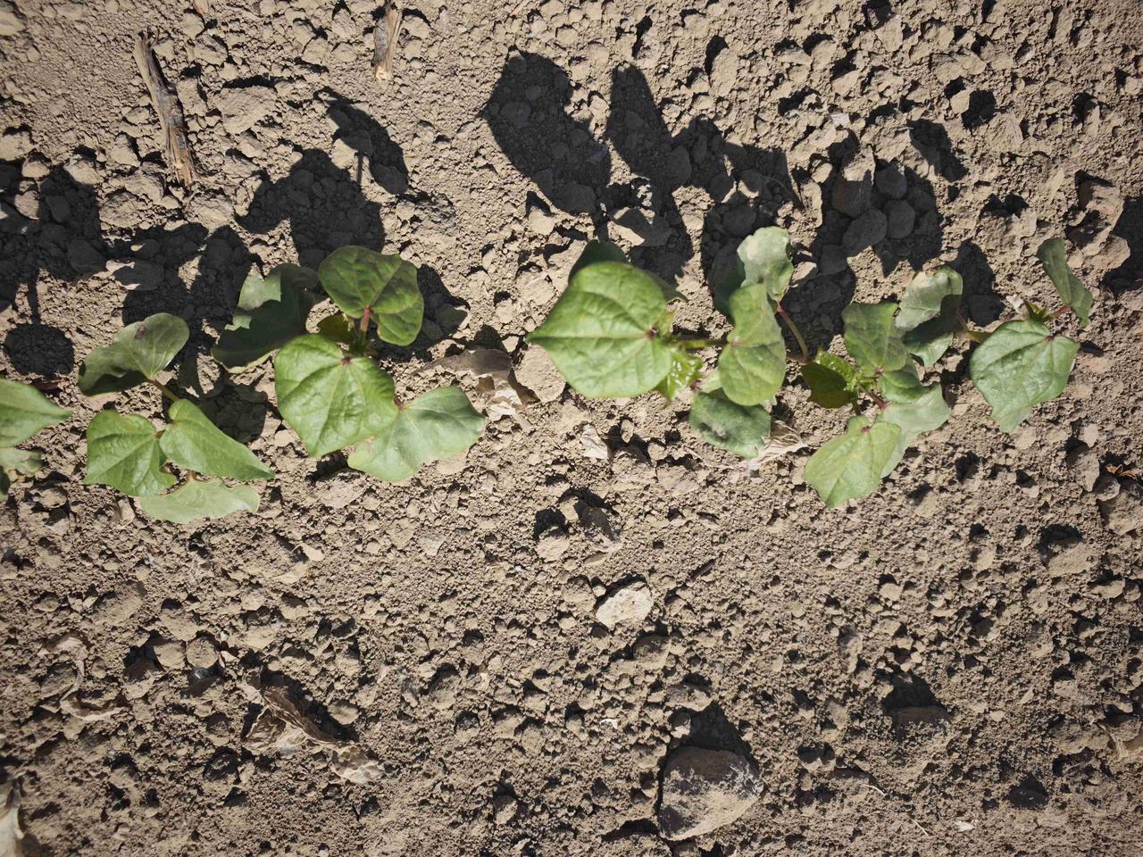 我的今日状态：😁轻松愉快
我这里的天气：☀️晴天 带定位分享生活