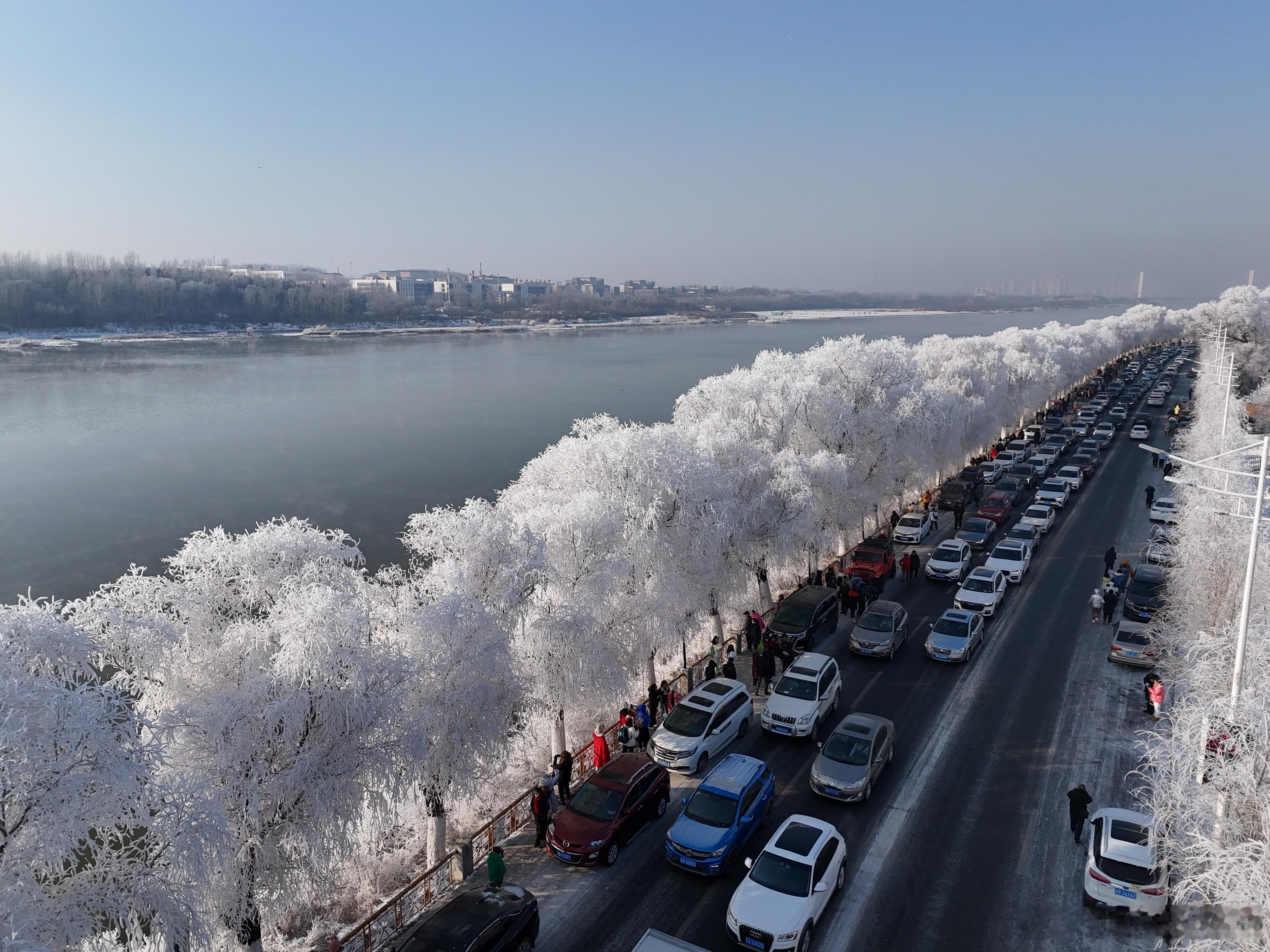 🚗【智能驾驶大比拼 | 中国车企的AI新玩法】🚗最近真的是见证了中国汽车行业