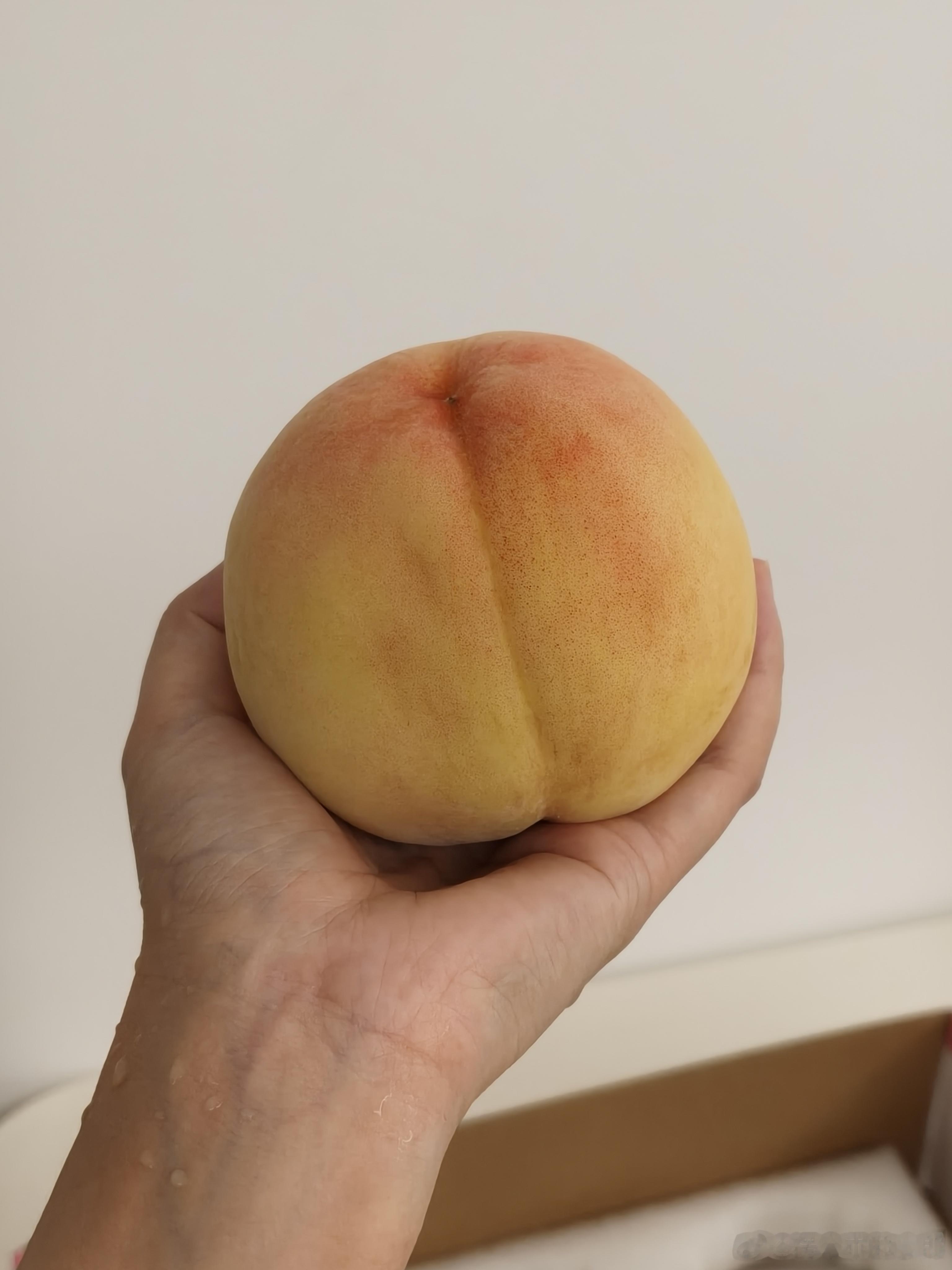收到了家那边的水蜜桃！超大个超甜超级多汁🍑(˘ڡ˘)好吃(｢･ω･)｢ 