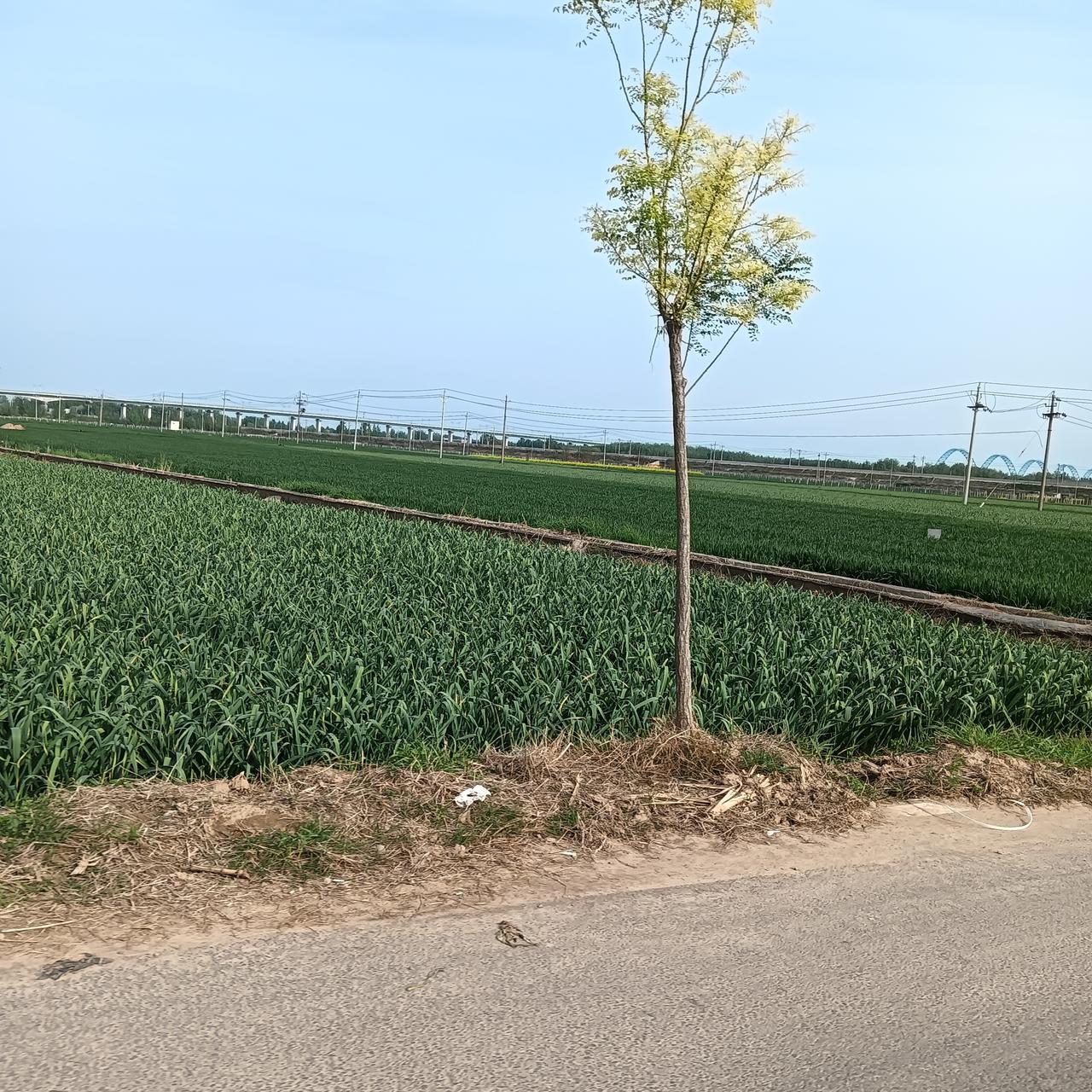 风景永远在路上！