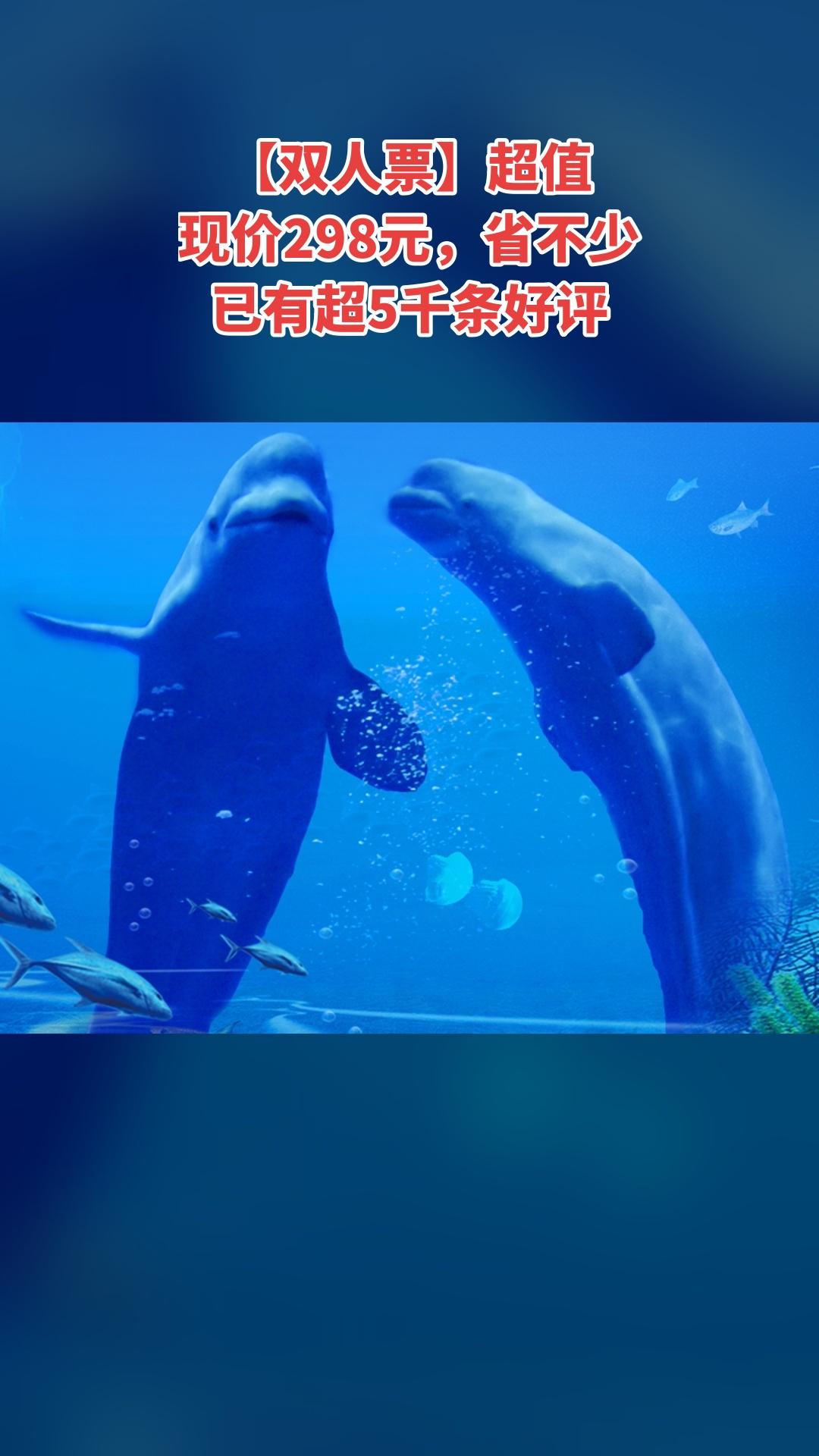 冰雪海洋世界，新品上线，抢先体验，【双人票】，景区官方、随时退·过期退...