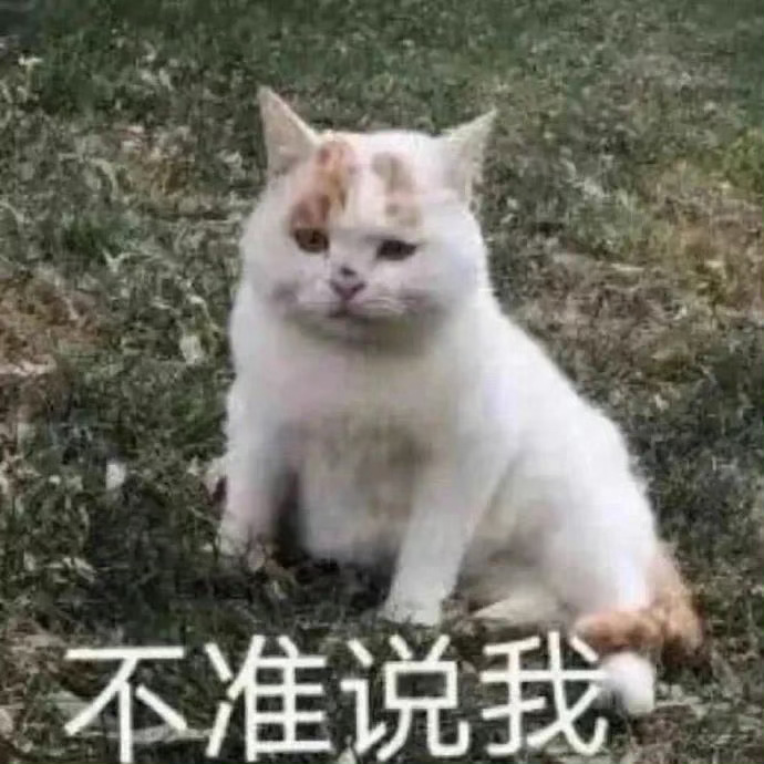 这段追星之旅我真的爱得太单纯太纯粹了，到现在为止我想要的也只是亲一口他的嘴，怎么