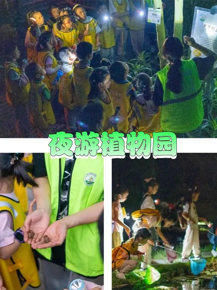 武汉8大周末营会，带娃畅享欢乐时光