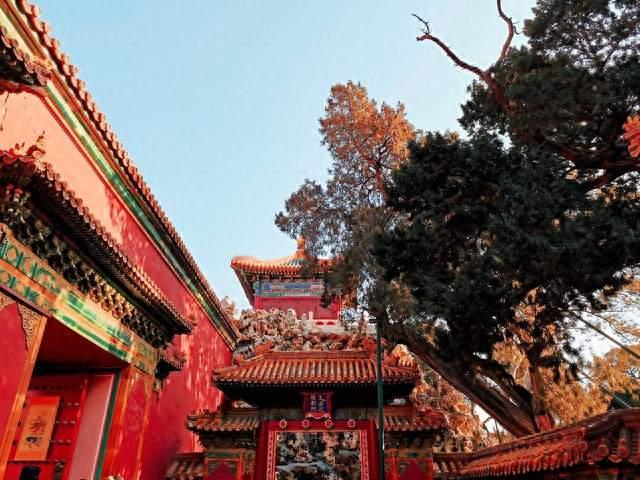 Cybercab将在北京上海展出