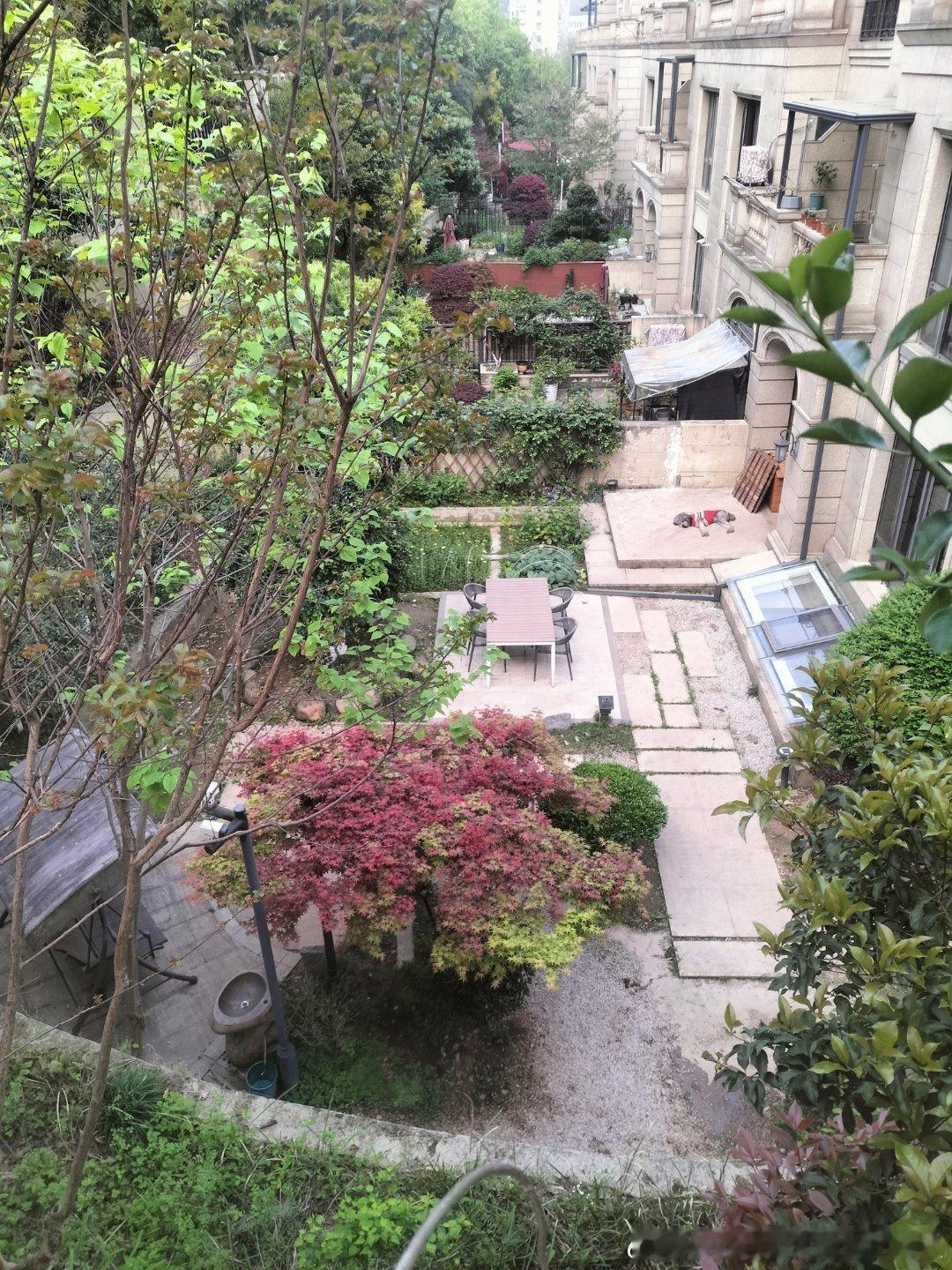 40岁单亲妈妈工地扛楼月入过万有的时候为母则刚做事情的时候为了孩子，为了责任咬牙