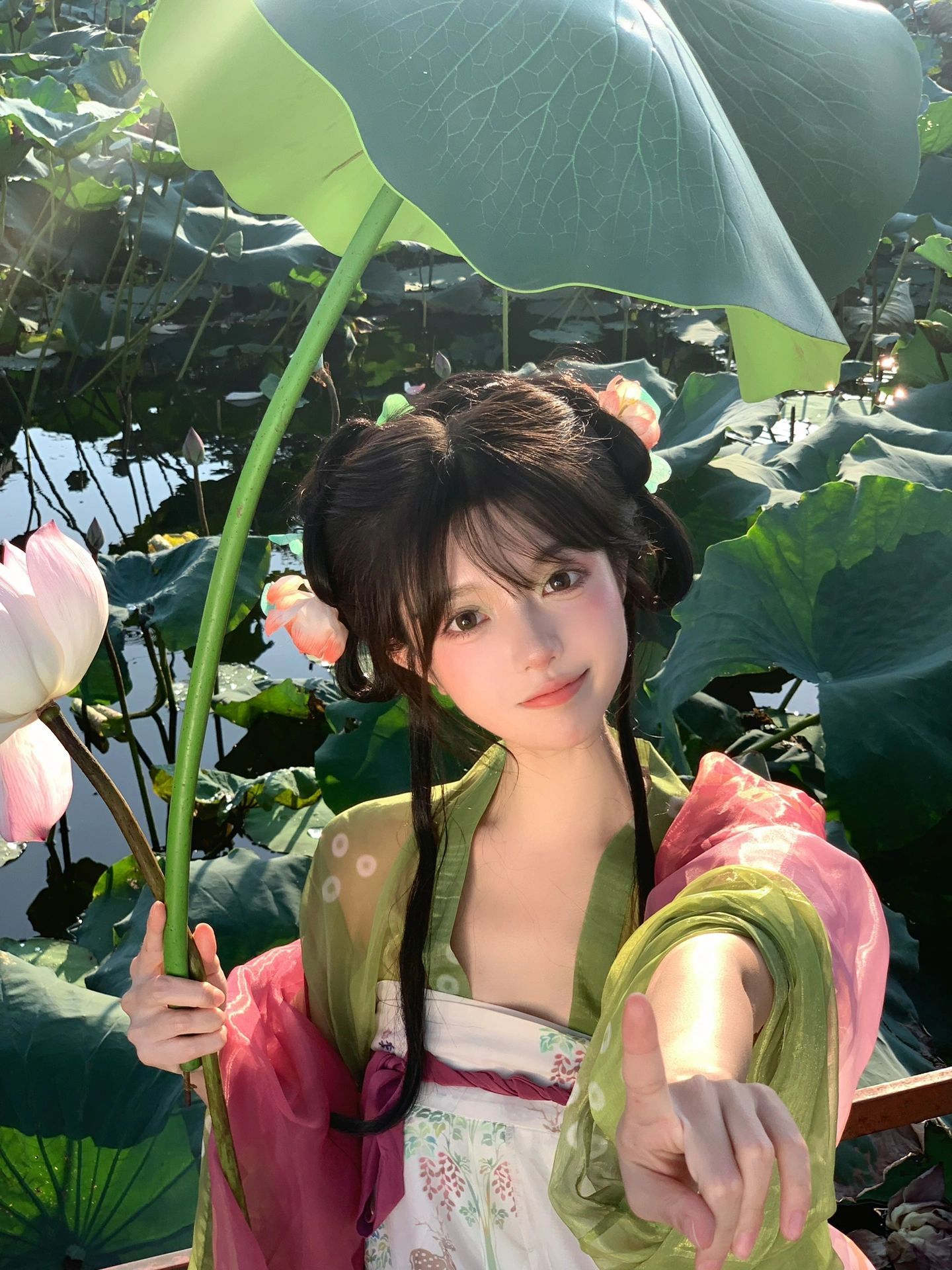 存一些荷花拍照姿势🪷 ​​​