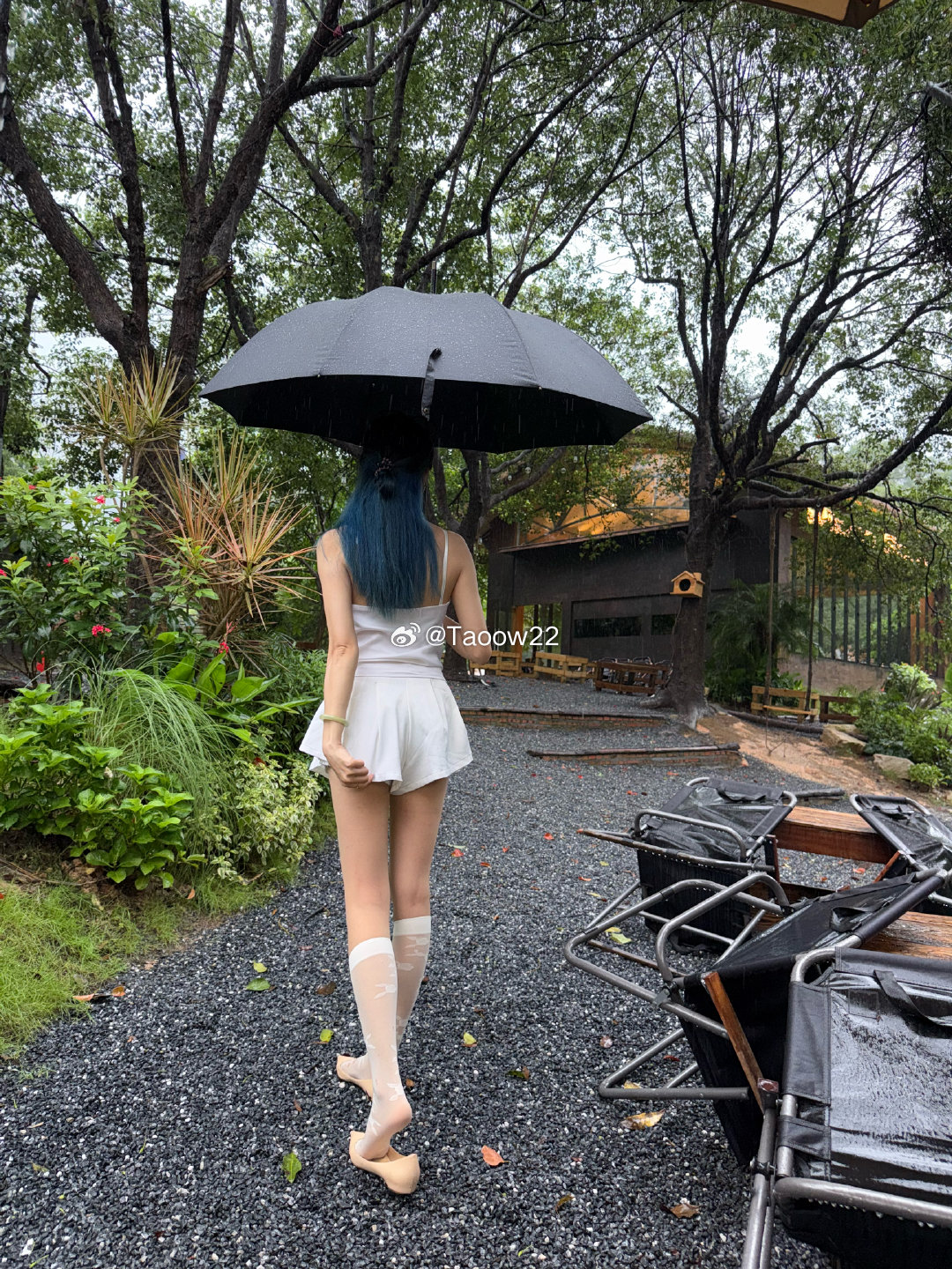 连夜雨 