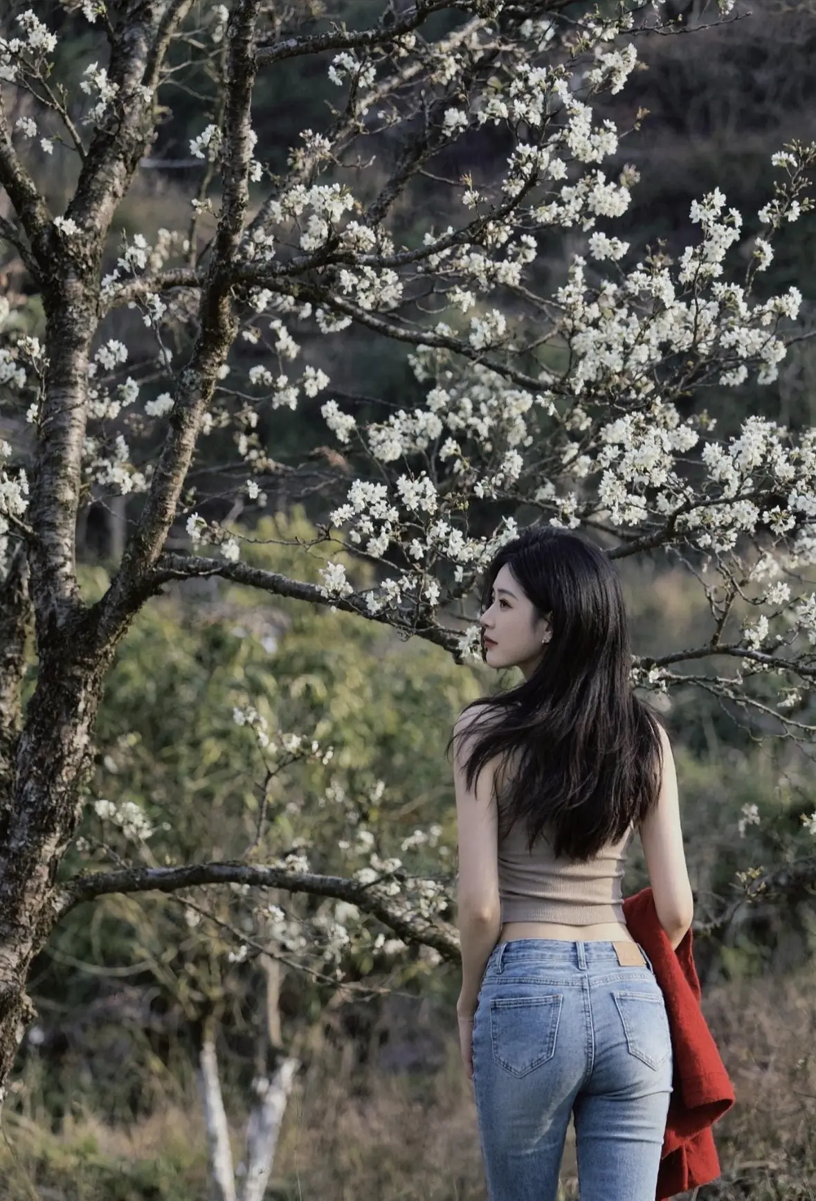 春暖花开日就是见面时。
