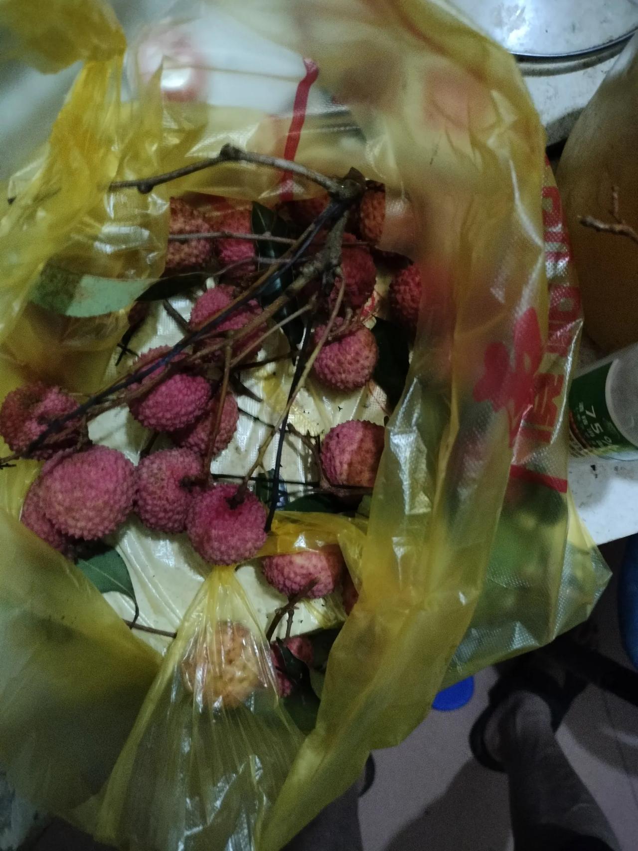 荔枝树与荔枝一起卖？
今天在路边买了两斤桂味的荔枝，我为什么要在路边买，因为我看