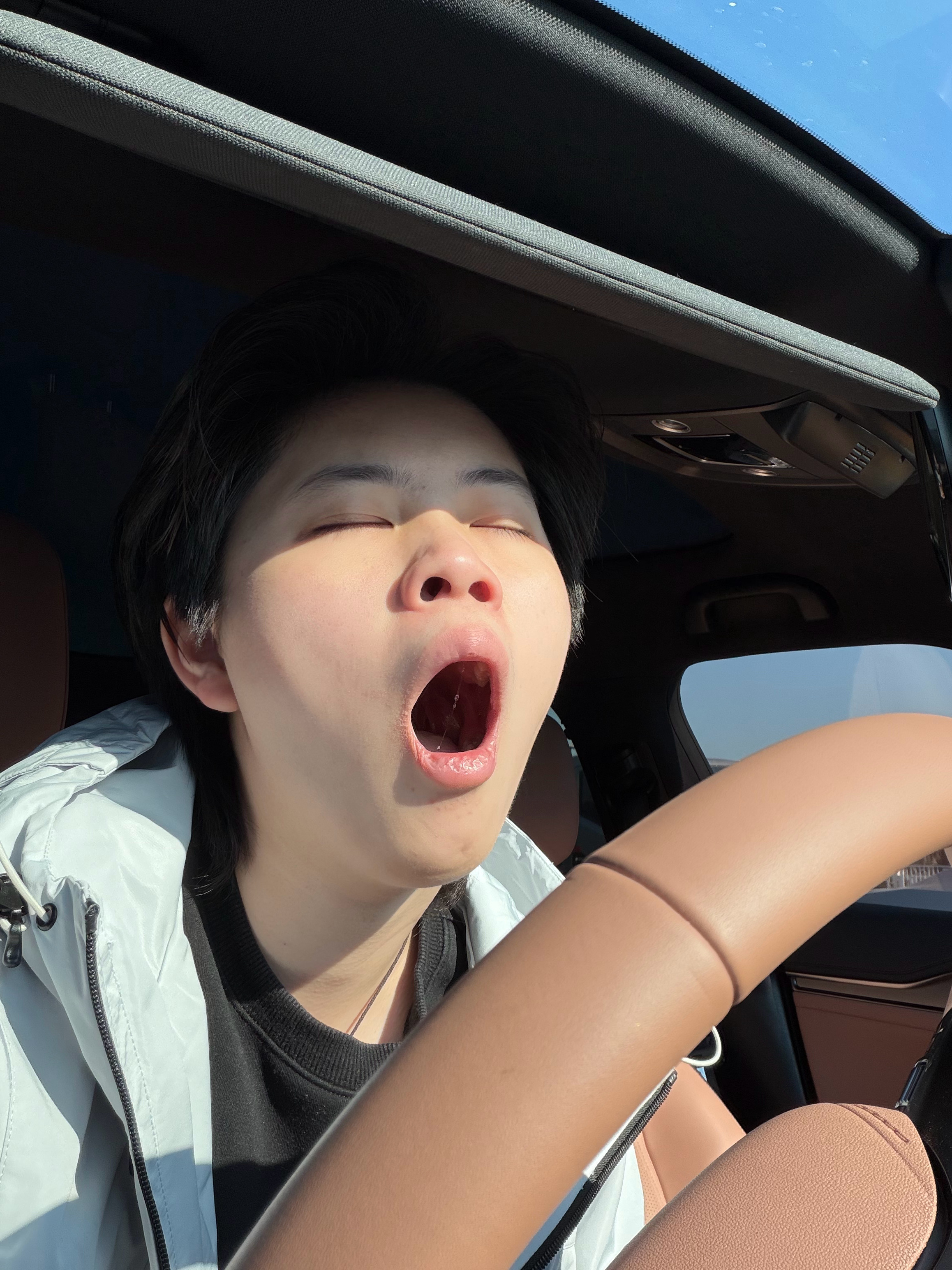 早上坏！不行了要困晕了是哪个倒霉蛋又一大早给江苏高速贡献KPI了[无聊] ​​​