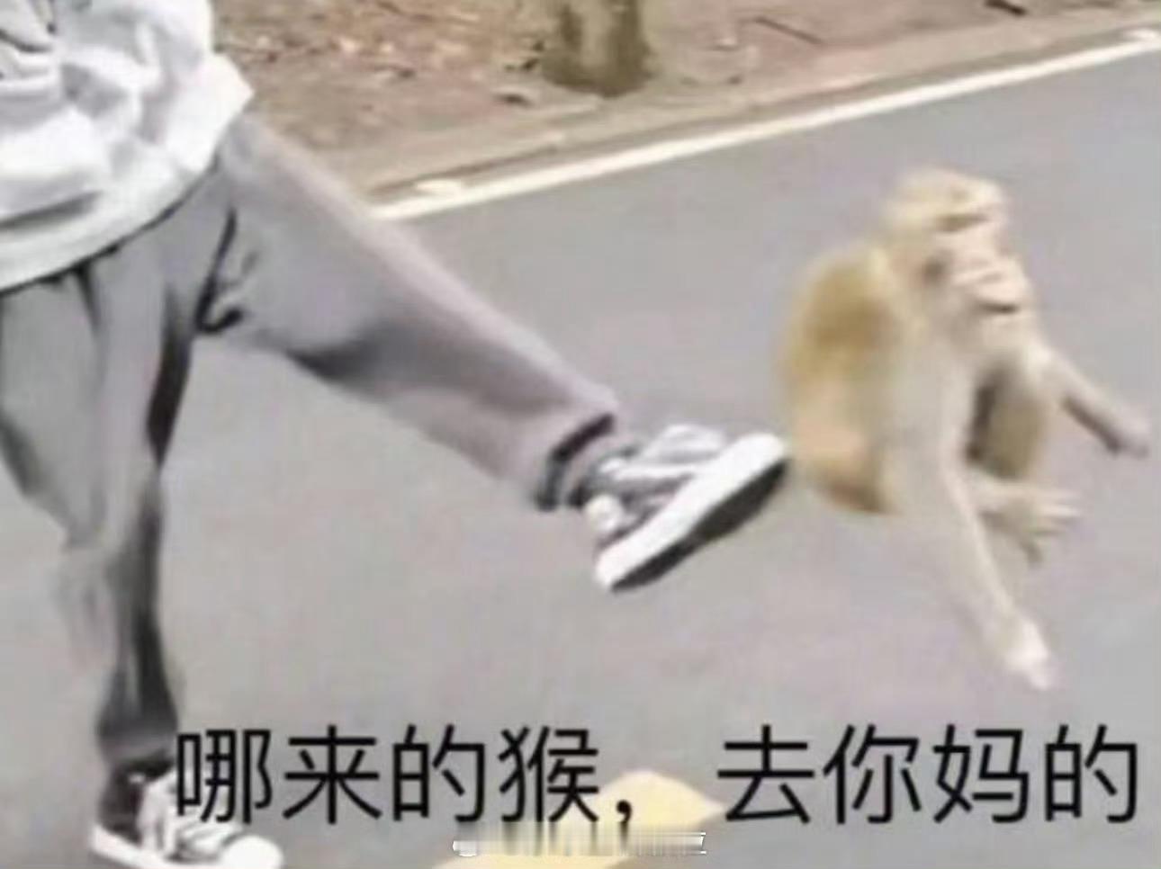 吴磊赵露思 三搭 露露信箱这种私人对接秒辟谣，嫌弃得是一秒都不想沾边，猴子你不要