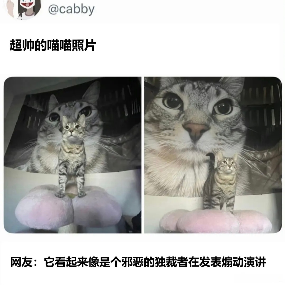 分享图片 