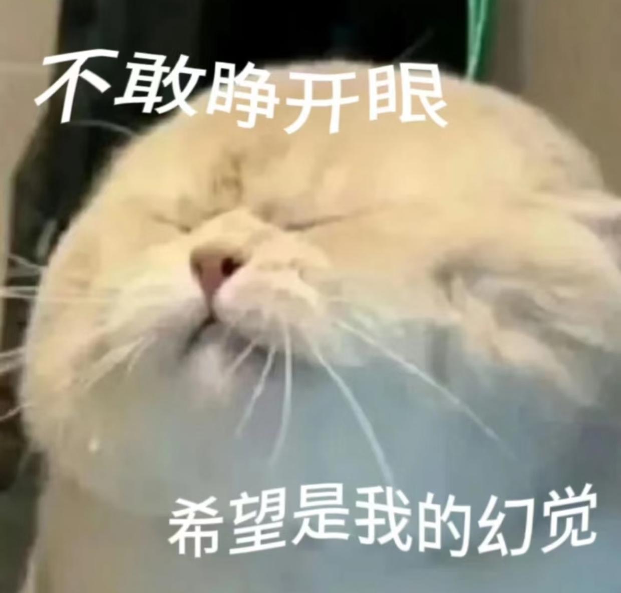 听说大龄剩女有四大幻觉，
有多少人全中了！
觉得只要自己想嫁，马上就能步入婚姻殿