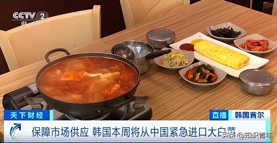 “中国要被我们拖垮了！”2024年，韩国上千人拒绝吃从中国进口的中国白菜，本想给