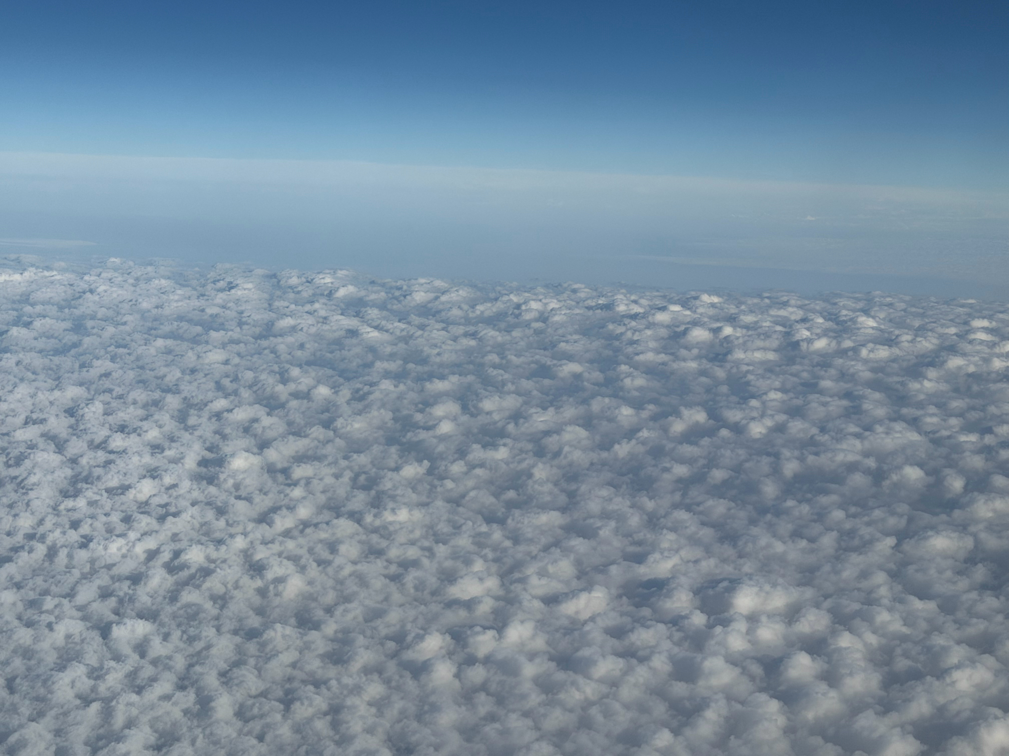 终于落地广州啦～上飞机就呼呼大睡你看，天上的云好像棉花