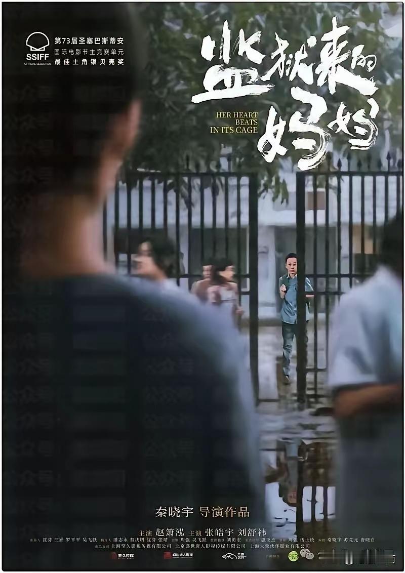 这个电影最大问题是，美化杀人犯，构陷死者经常家暴，亵渎法律，试图用电影翻案，问题